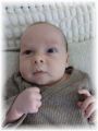 mini_005_2025.jpg - 2909 Bytes