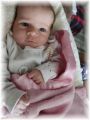 mini_006_2025.jpg - 2909 Bytes