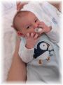 mini_009_2025.jpg - 2909 Bytes
