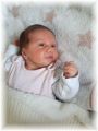 mini_010_2025.jpg - 2909 Bytes