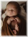 mini_014_2025.jpg - 2909 Bytes