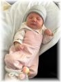 mini_015_2025.jpg - 2909 Bytes