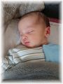 mini_019_2025.jpg - 2909 Bytes