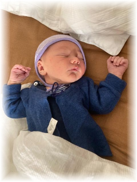 010_2026.jpg - 75377 Bytes