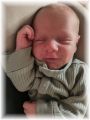 mini_001_2026.jpg - 2909 Bytes