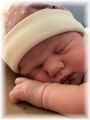 mini_002_2026.jpg - 2909 Bytes