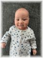 mini_003_2026.jpg - 2909 Bytes