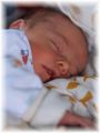 mini_005_2026.jpg - 2909 Bytes