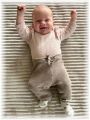 mini_006_2026.jpg - 2909 Bytes