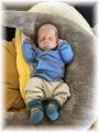 mini_007_2026.jpg - 2909 Bytes