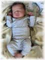 mini_008_2026.jpg - 2909 Bytes