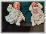 mini_012_2026.jpg - 2909 Bytes